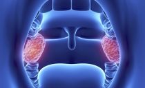 Glandes et amygdales dans la gorge: localisation, fonctions, causes de l'inflammation et méthodes de traitement