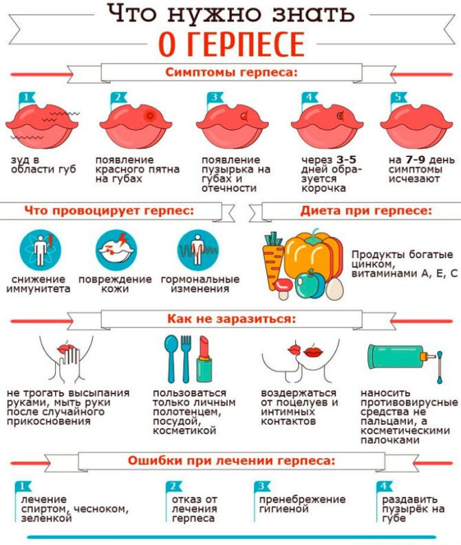Ce que vous devez savoir sur l'herpès
